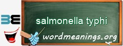 WordMeaning blackboard for salmonella typhi